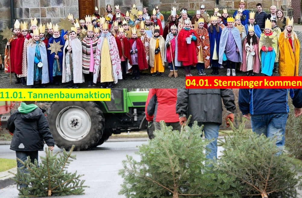 Sternsinger- und Tannenbaumsammelaktion